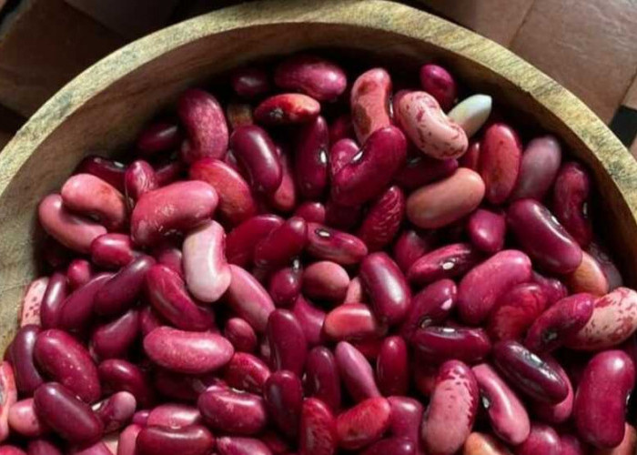Manfaat Luar Biasa Kacang Merah: Superfood yang Mengesankan untuk Kesehatan Anda