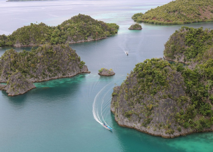 Aspirasi Pemekaran Wilayah Papua Barat Daya: Harapan Baru dari Kabupaten Raja Ampat Utara yang Terpinggirkan