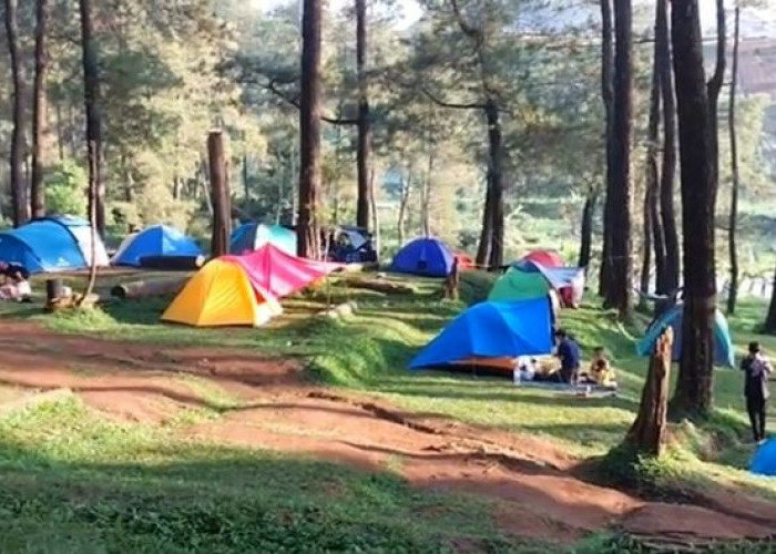 Camping di Lembah Pasir Sumbul Puncak Bogor dan 10 Camping Ground Seru yang Patut Dicoba