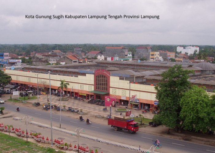 Pemekaran Kabupaten Lampung Tengah: Mengukir Sejarah Baru di Negeri Tapis Berseri
