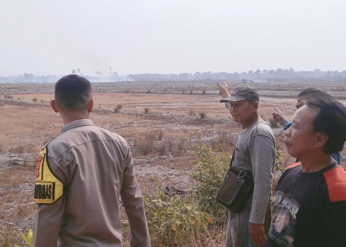 Karhutla Bakar 3 Hektar Sawah