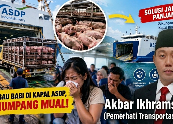 Viral Bau Babi di Kapal ASDP Bikin Penumpang Mual, Akbar Ikhramsyah Desak Kapal Khusus Ternak Masuk APBN