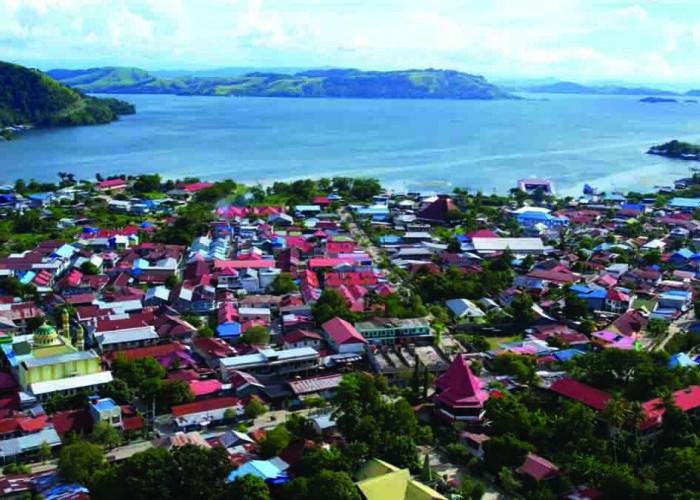 Pemekaran Pulau Papua, Usulkan 3 Provinsi Baru Lagi, Faktor Keamanan Jadi Alasan Utama
