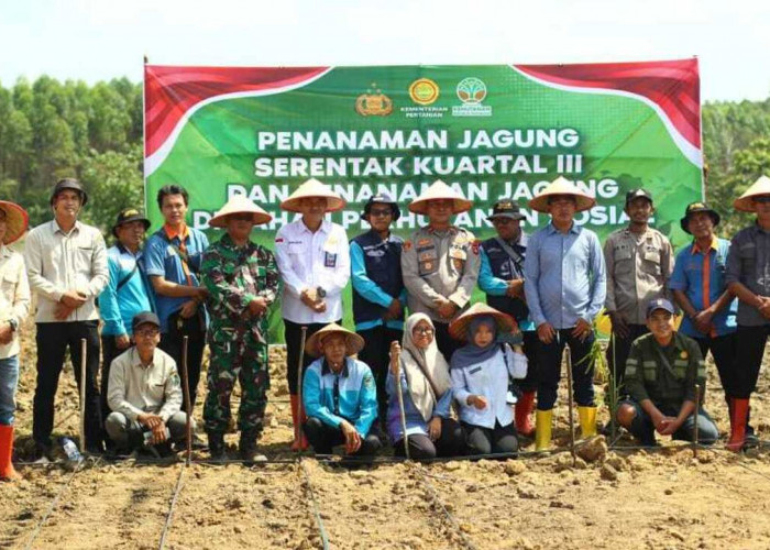 Perkuat Ketahanan Pangan Nasional, Tanam Jagung di Lahan 41 Hektare
