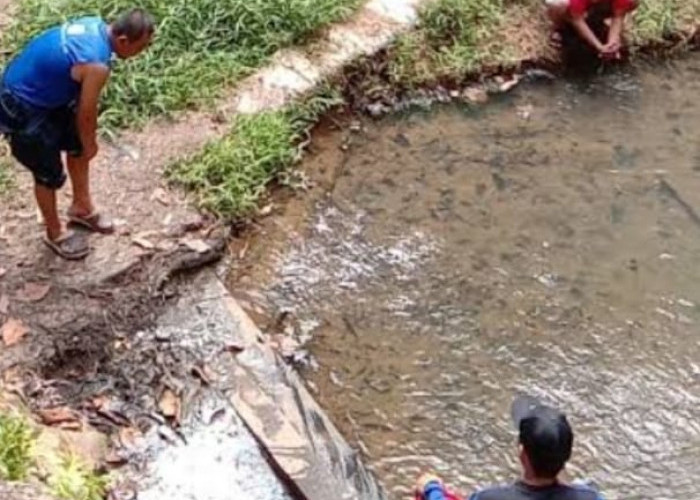 Telaga Air Panas Bukit Suharto: Surga Tersembunyi di Kutai Negara, Kalimantan Timur