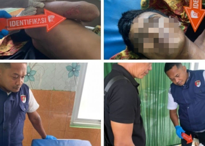 Petani di OKU Tewas Tersengat Listrik Saat Sedang Memanen Sawit