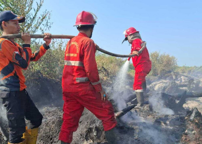 3 Hektare Lahan Program Cetak Sawah Rakyat Terbakar Tim Gabungan Upayakan Pemadaman