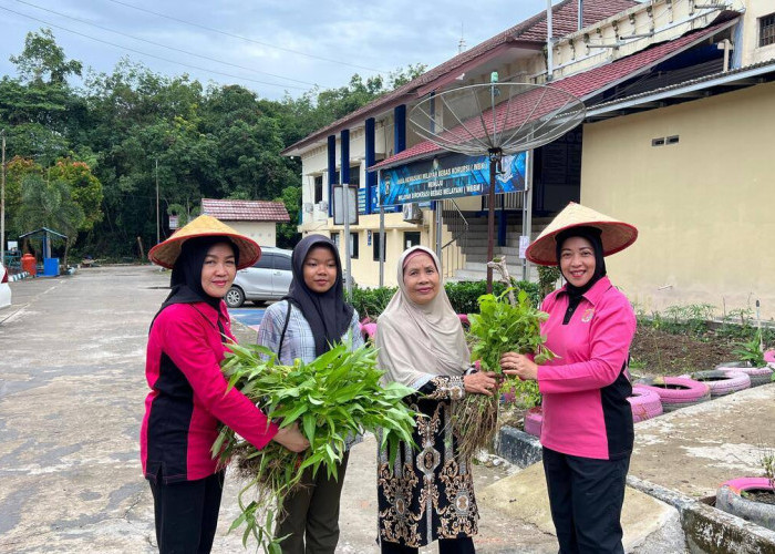 Panen Hasil Program Pekarangan Pangan Lestari, Bhayangkari Cabang Prabumulih Bagikan Sayuran Kepada Warga