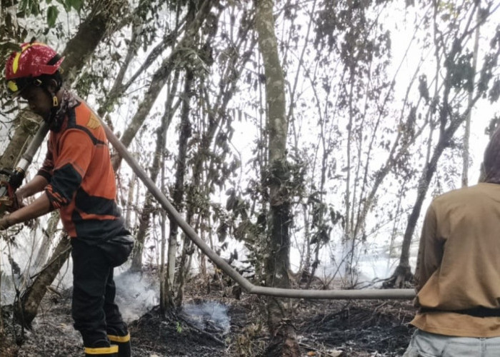 Karhutla di Kecamatan Sungai Rotan Berhasil Dipadamkan