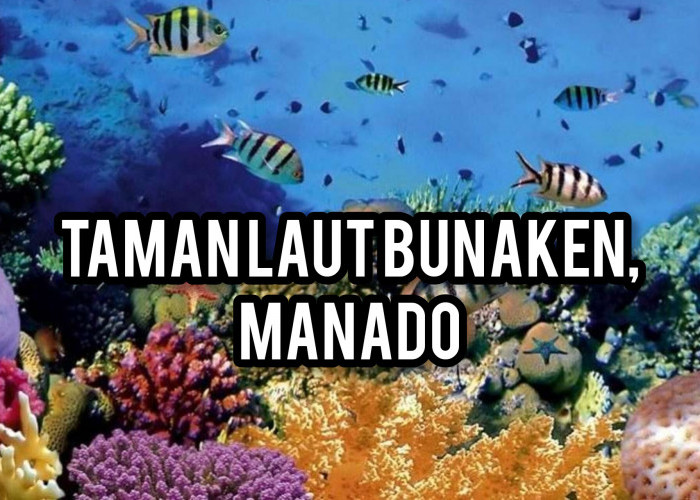 Menyelam dalam Keajaiban Bawah Laut Taman Laut Bunaken, Manado: Gugusan Terumbu Karang yang Menakjubkan