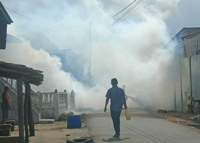 Cegah Merebaknya DBD, Pemdes Pedamaran 1 Bersama Puskesmas Gelar Fogging