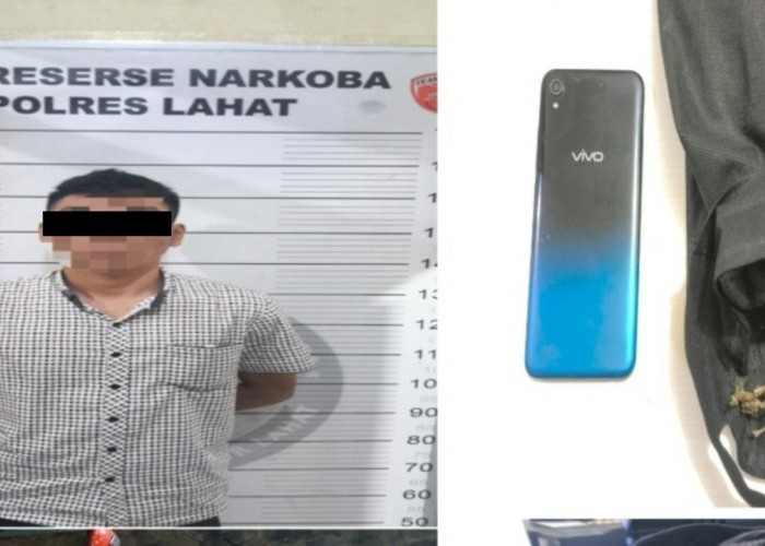 Polres Lahat Bekuk Pengedar Ganja 80 Gram di Lahat Selatan, Motor Scoopy Ikut Disita