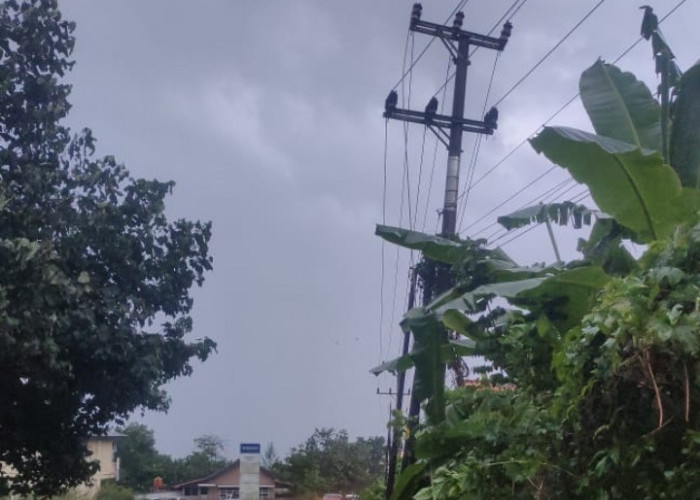 Jaringan Listrik Putus, Muara Enim Gelap Gulita 12 Jam