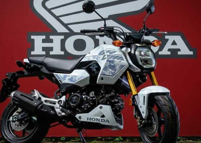 Motor Sport Mini Honda MSX Grom 2027 Makin Kece, Sudah Pakai USD dan ABS!