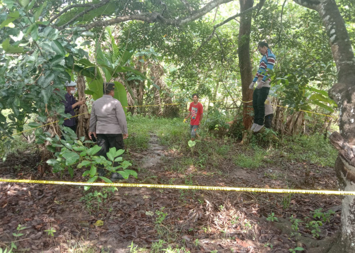 Warga RS Holindo Nekat Gantung Diri di Pohon Rambutan