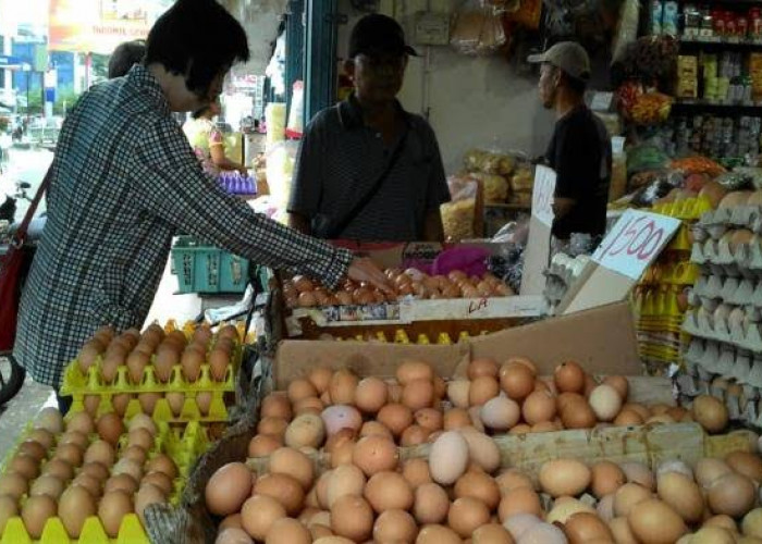    Harga Telur di Baturaja Tembus Rp32 Ribu Perkilogram