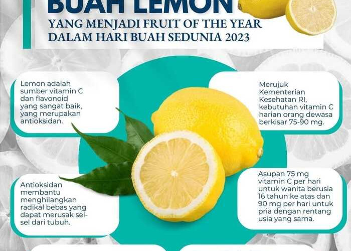 Rahasia Nutrisi dan Khasiat Lemon yang Meningkatkan Kesehatan Anda Secara Alami