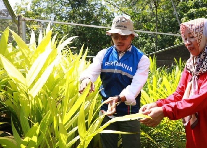 Inovasi Desa yang Menyatukan Kearifan Lokal dan Sains Modern 