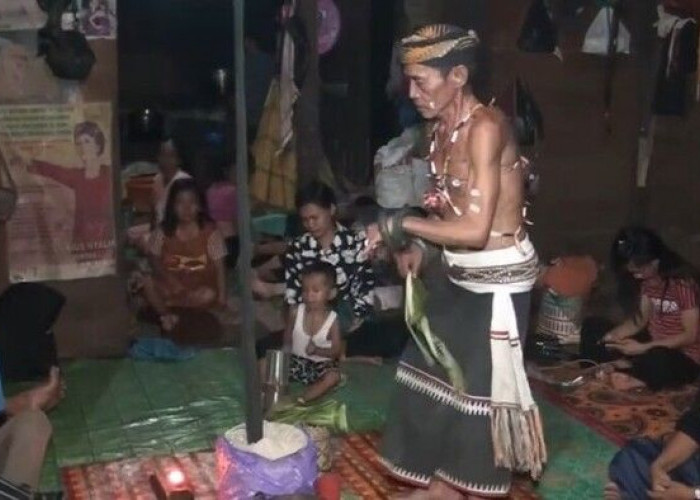 Ritual Magis Suku Dayak di Calon Provinsi Barito Raya, Bisa Berkomunikasi dengan Roh Leluhur
