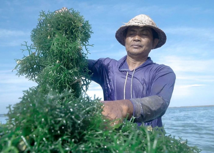 Ini 5 Komitmen Nyata BRI Dorong Peningkatan Kualitas Dan Daya Saing UMKM