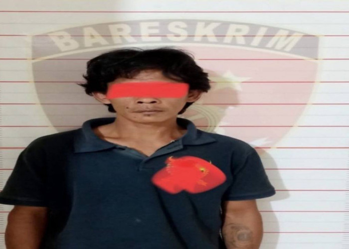 Sempat Kabur Ke Jambi, Pelaku Penusukan Diciduk Saat Singgah Ke Rumah Mertua