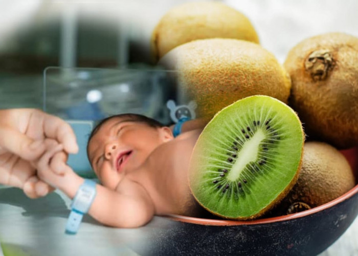Rahasia Kecil untuk Kehamilan Sehat: Manfaat Ajaib Buah Kiwi dalam Mencegah Cacat Lahir