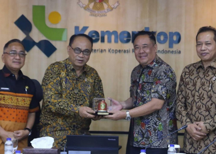 Wagub Cik Ujang Pastikan Semua Desa dan Kelurahan di Sumsel Sudah Bentuk Kopdes Merah Putih
