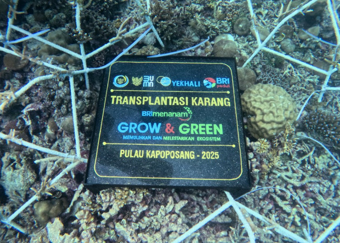Jaga Ekosistem Laut Tetap Lestari, Ini Aksi Nyata BRI Menanam - Grow and Green di Pulau Kapoposang