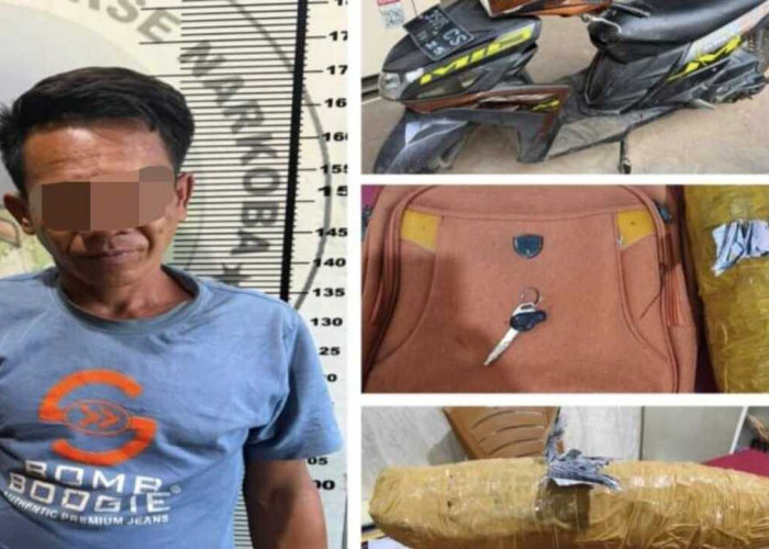 Satresnarkoba Polres Prabumulih Gagalkan Peredaran 1 Kg Ganja, Satu Pengedar Ditangkap di Rumah Kontrakan