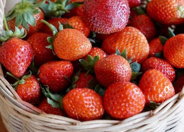 Tips dan Trik Terbaik: Cara Efektif Menyimpan Buah Strawberry dalam Freezer!
