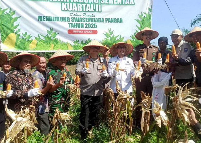 Polres OKU Kini Miliki Lahan Jagung Seluas 200 Haktere di Tegal Arum