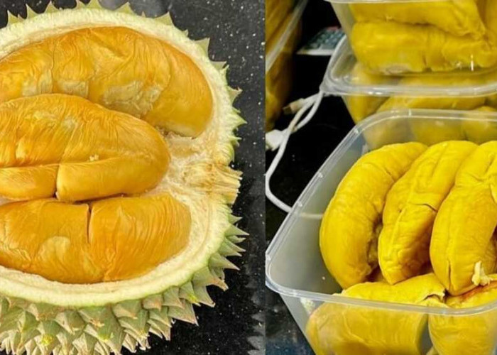 Durian: Si Buah Kebanggaan Malaysia, Mempesona Dunia dengan Keunikan dan Khasiatnya