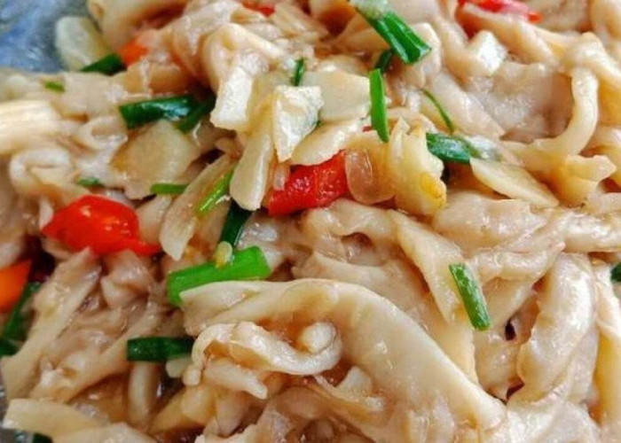 Tumis Jamur Tiram, Menu Sederhana yang Kian Populer di Meja Makan Keluarga Indonesia