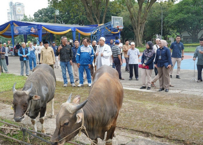Pusri Salurkan Hewan Kurban untuk Warga Lingkungan 