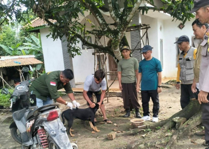 Tahun 2025, Pemkot Prabumulih Catat 8 Kasus Gigitan Anjing Rabies: Warga Diminta Rutin Vaksin Hewan Peliharaan