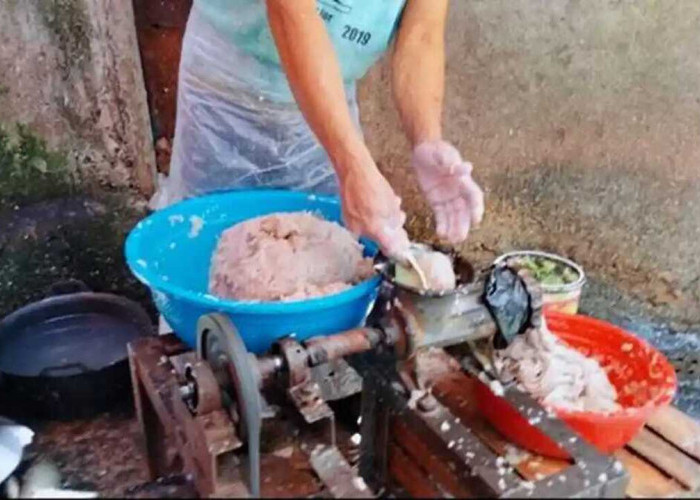 Jelang Idul Adha, Harga Ikan Gabus Giling di OKU Tembus Rp90 Ribu Perkg