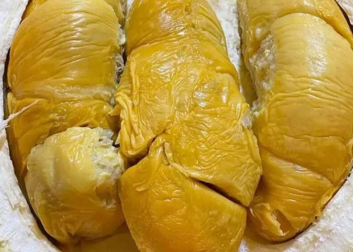 Apa Dampak Alergi Durian pada Anak-Anak Terhadap Sistem Pernapasan Mereka?