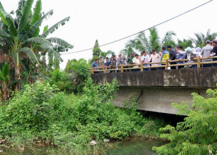 Pj Gubernur Elen Setiadi Dampingi Wamendagri Tinjau Saluran Irigasi Pertanian Di Kawasan Tanjung Lago Banyuasi