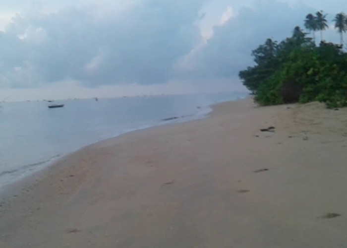 Pemekaran Wilayah Sumatera Utara: Wacana Pembentukan Kabupaten Teluk Aru Karena Jauh dari Pusat Pemerintahan