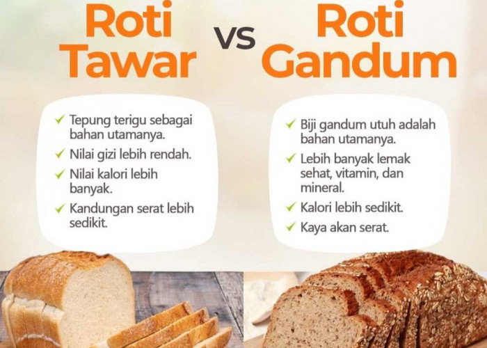 Roti Biasa VS Roti Gandum: Mana yang Lebih Sehat?