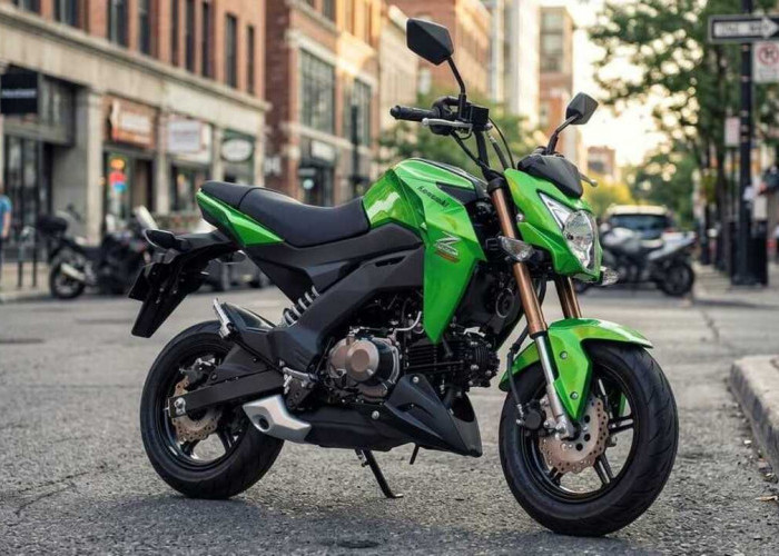 Bukan Sekadar Motor Kecil, Kawasaki Z125 Pro Bawa DNA Ninja dan Z Series dalam Paket Mungil. 