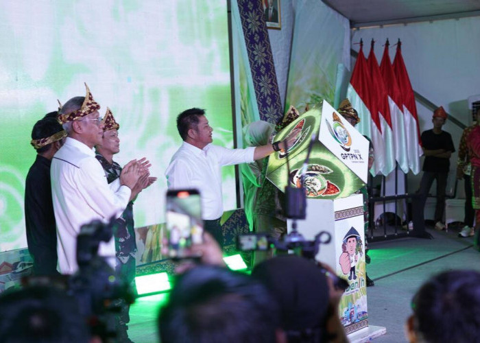 Gubernur Herman Deru Dorong Intensifikasi Pertanian: Sumsel Masuk Lima Besar Nasional