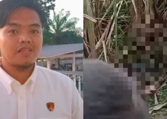 Tragis! Wanita Hamil yang Ditemukan Tewas Dikebun Tebu Diduga Dibunuh, Alami Sejumlah Luka