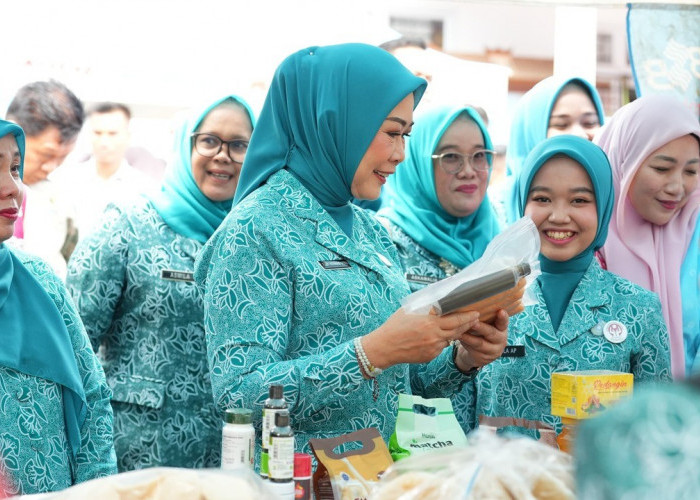 Feby Herman Deru Kunjungi Banyuasin, Resmikan Sekretariat TP PKK dan Pantau Pelaksanaan 10 Program Pokok PKK