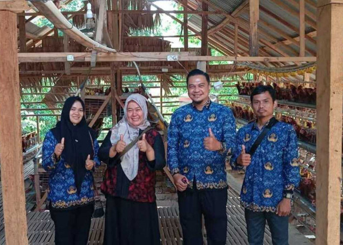 BumDes Karang Dapo Kembangkan Ayam Petelur, Dinas PMD OKU Dorong Jadi Penggerak Ekonomi Desa