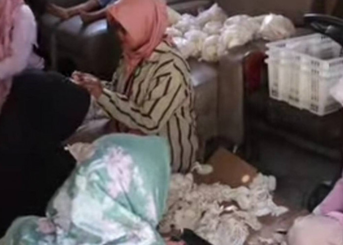 Manfaatkan Lahan Pekarangan, Ciptakan Nilai Jual Tinggi