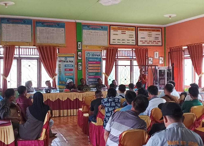 Dorong Ketahanan Pangan Lewat Budidaya Sawi