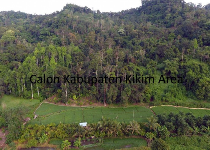 Pemekaran Wilayah: Kabupaten Kikim Area Bersiap Jadi Calon Daerah Otonomi Baru di Sumatera Selatan