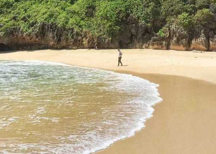 Pantai Greweng Permata Tersembunyi di Pantai Selatan Jawa Tengah
