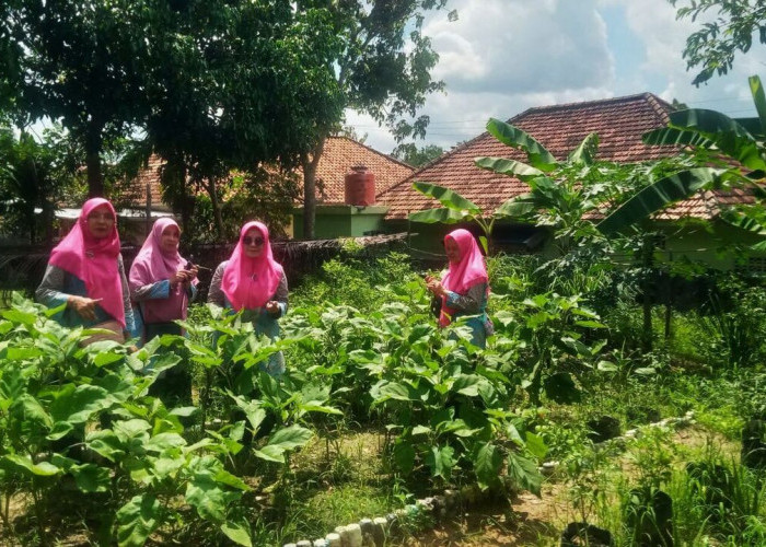 Program Niat Mila PHR Zona 4 Berhasil Dorong KWT Bougenville Sulap Lahan Kosong dan Produksi 18 Produk Unggula